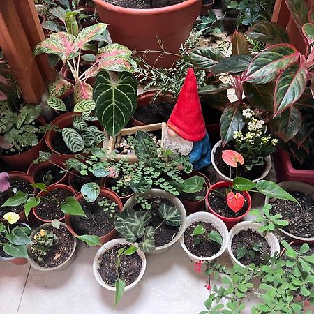 이키토스 Casa Micaela 아파트 외부 사진
